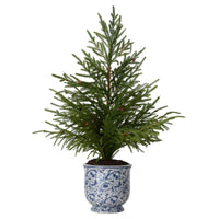 Faux Norfolk Pine Tree in Chinoiserie Planter - Medium