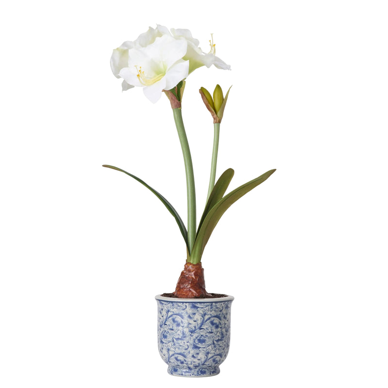White Amaryllis Faux Arrangement in Chinoisierie Planter