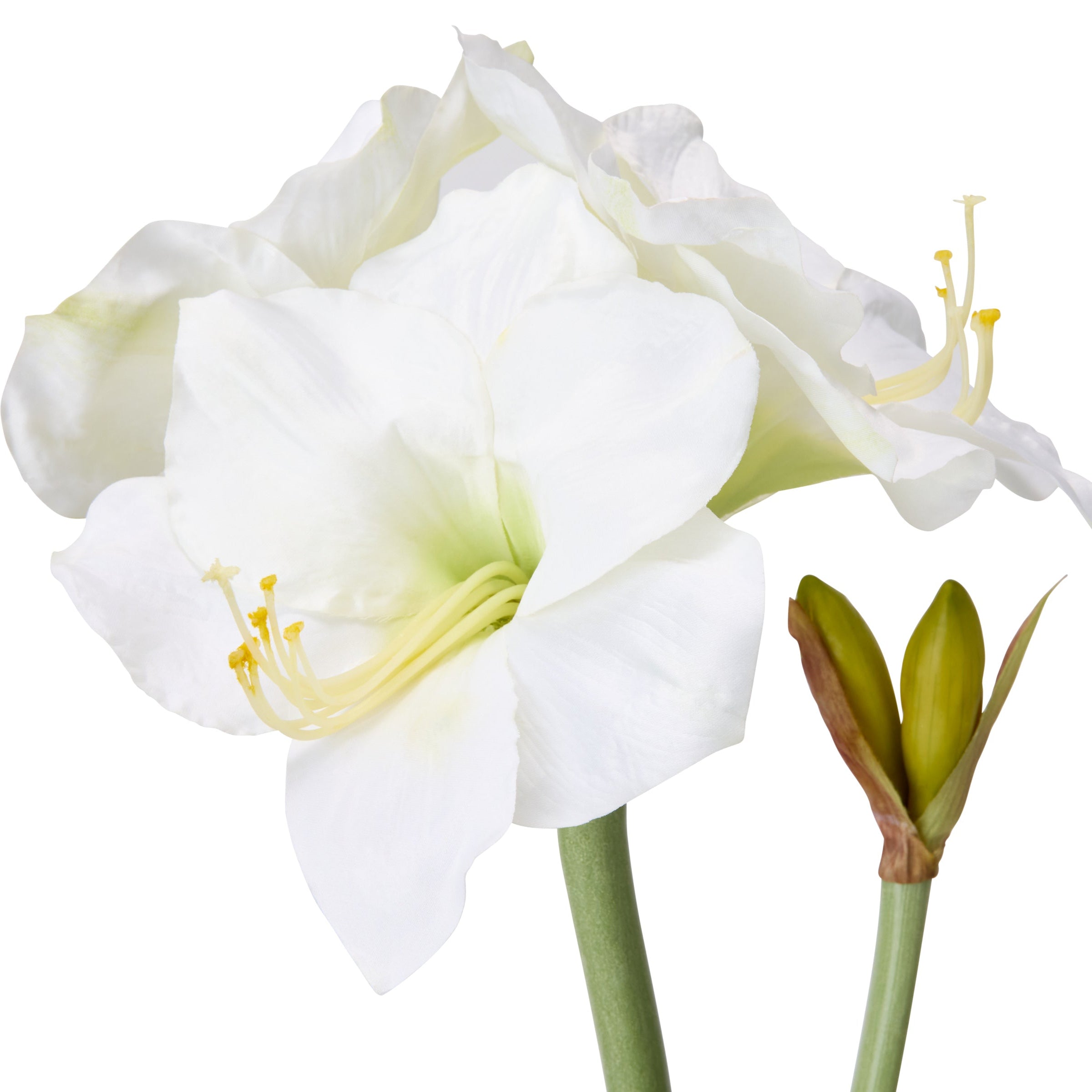 White Amaryllis Faux Arrangement in Chinoisierie Planter – Cailini