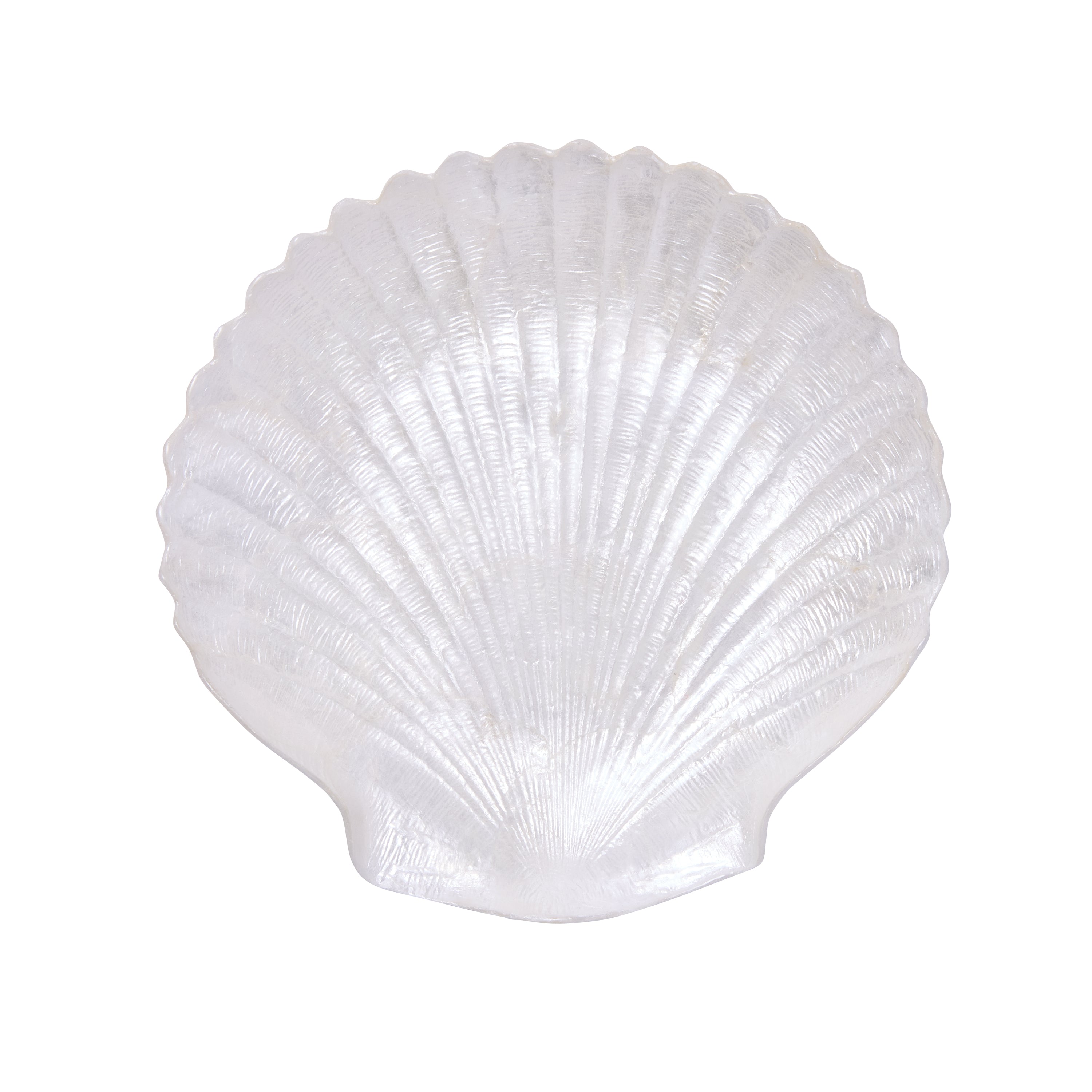 Aphrodite Shell Plate