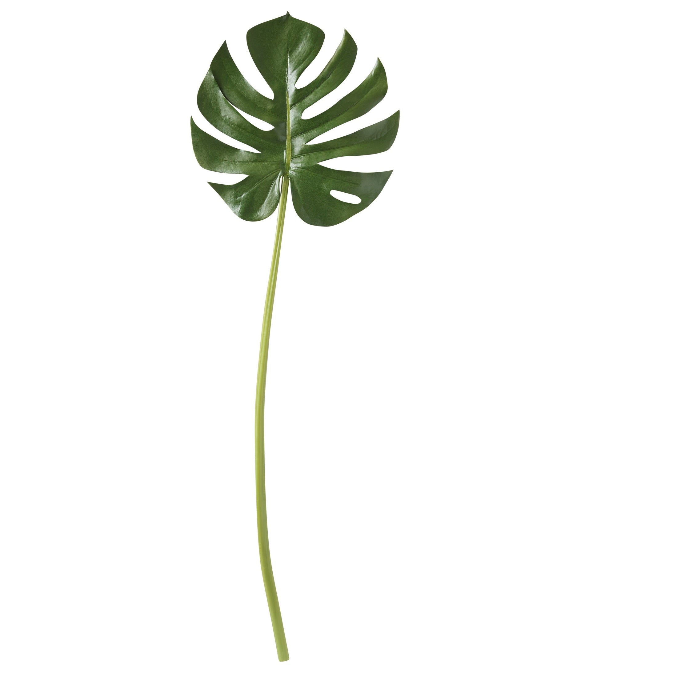 Monstera Palm Faux Stem