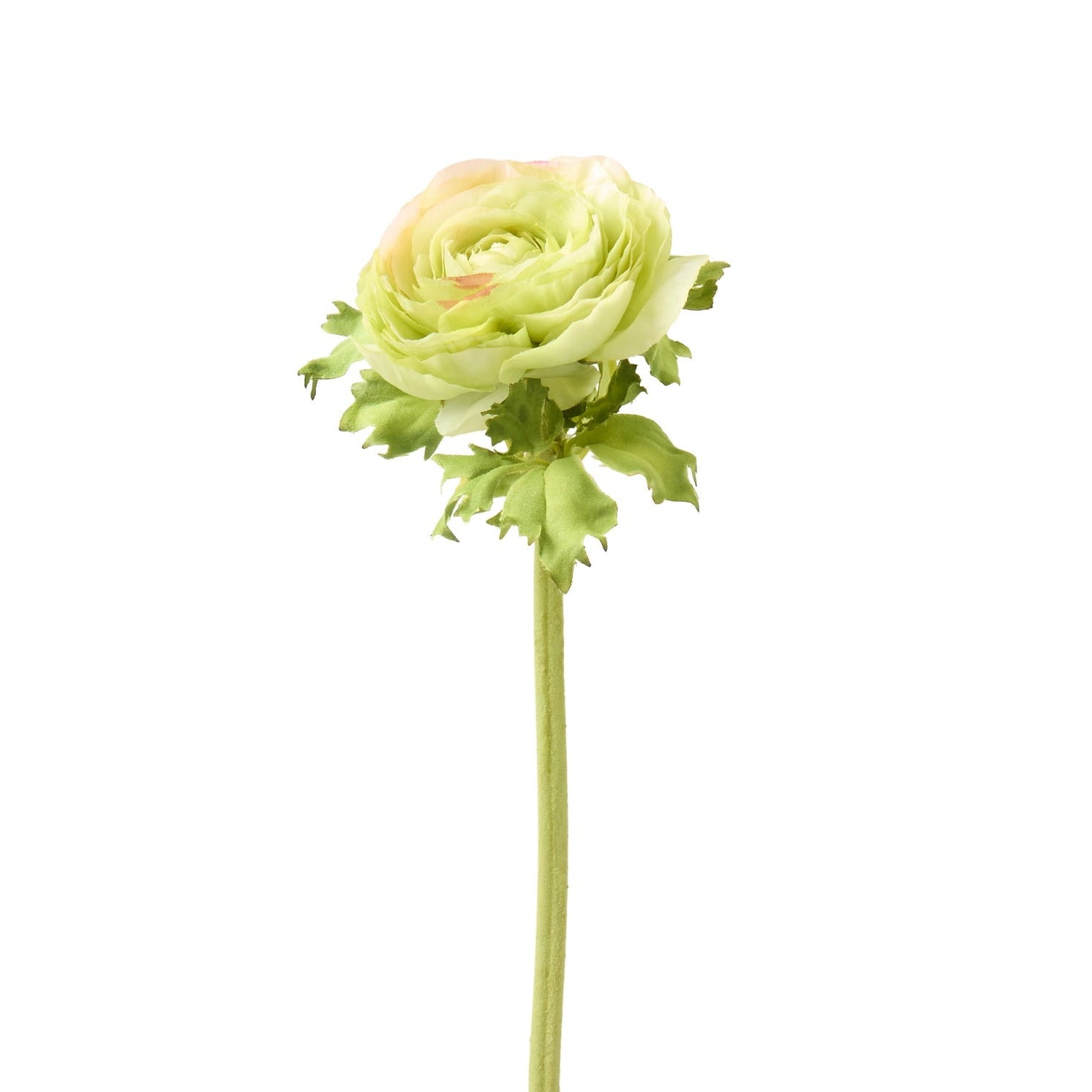 Green Ranunculus Faux Stem