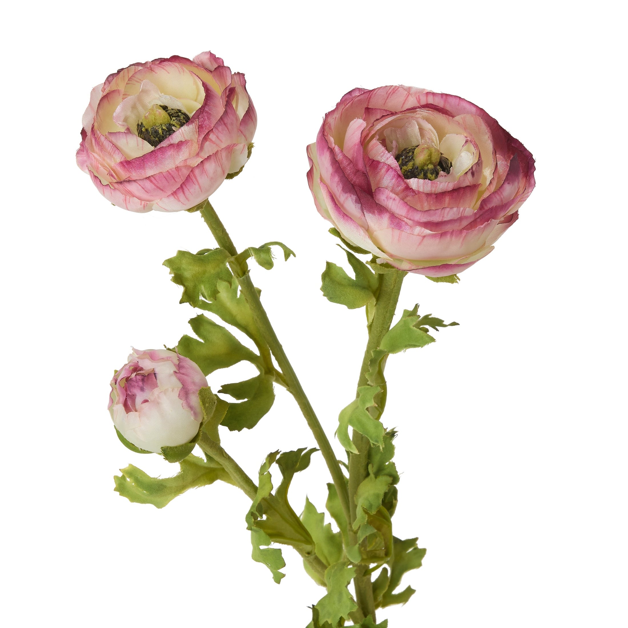 Burgundy & Cream Ranunculus Faux Stem