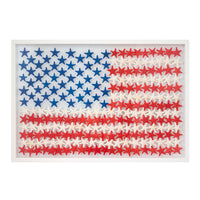 Starfish Spangled Flag Framed Art