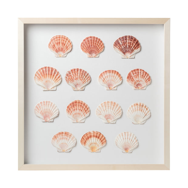 Sea Scallop Framed Art