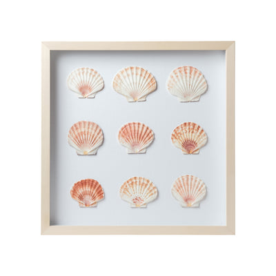 Sea Scallop Framed Art