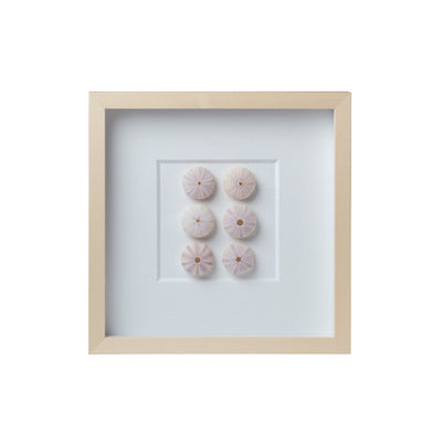 Sea Urchin Framed Art