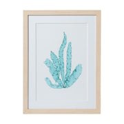 Seaweed Framed Art - Print D