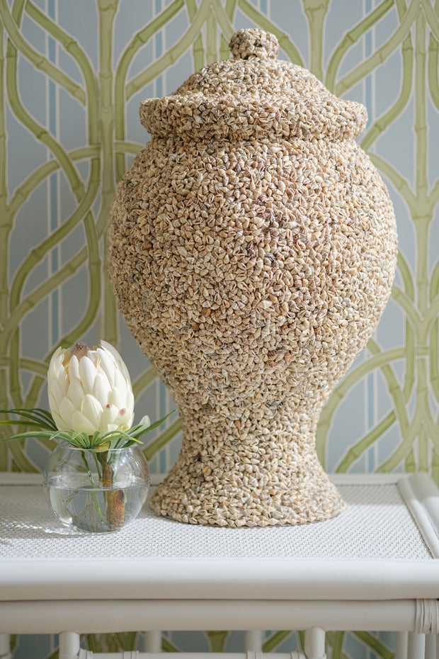 Conchas Shell Urn