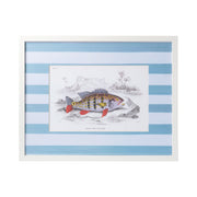Stripe Fish Framed Art Print - D