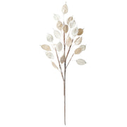 Frosted Pearl Eucalyptus Tree Stem - Set of 6