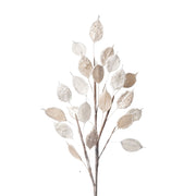 Frosted Pearl Eucalyptus Tree Stem - Set of 6