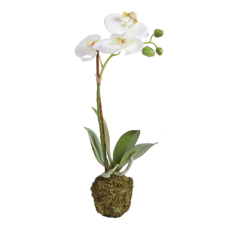 Petite White Orchid Faux Drop-In
