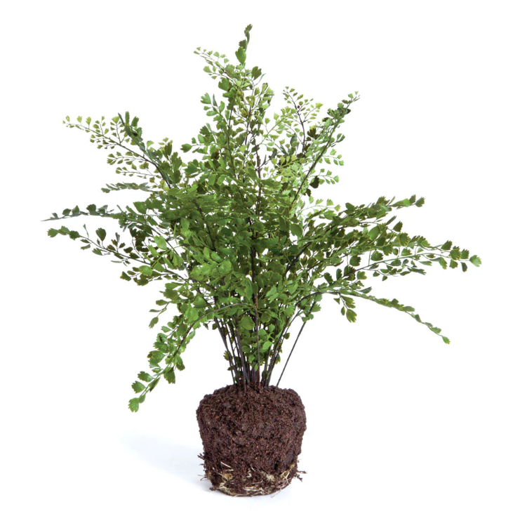 Maidenhair Fern Faux Drop-In