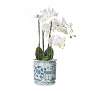 Faux Orchid in Porcelain Planter