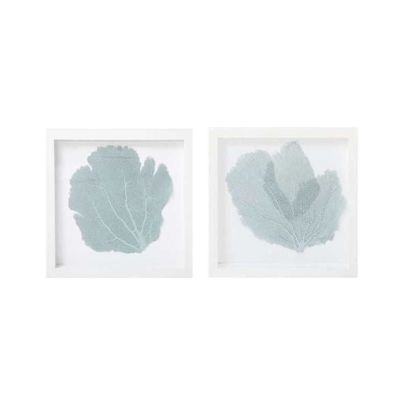 Blue Sea Fan Art Set