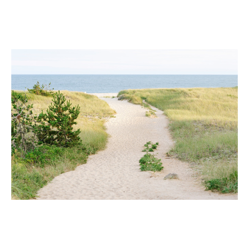 Surfside Beach Path