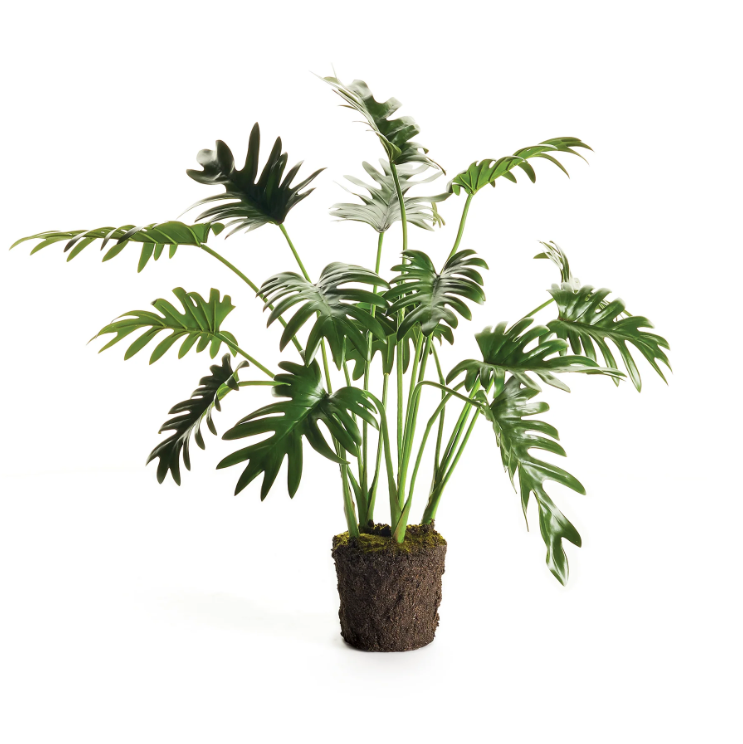 Selloum Palm Faux Drop-In