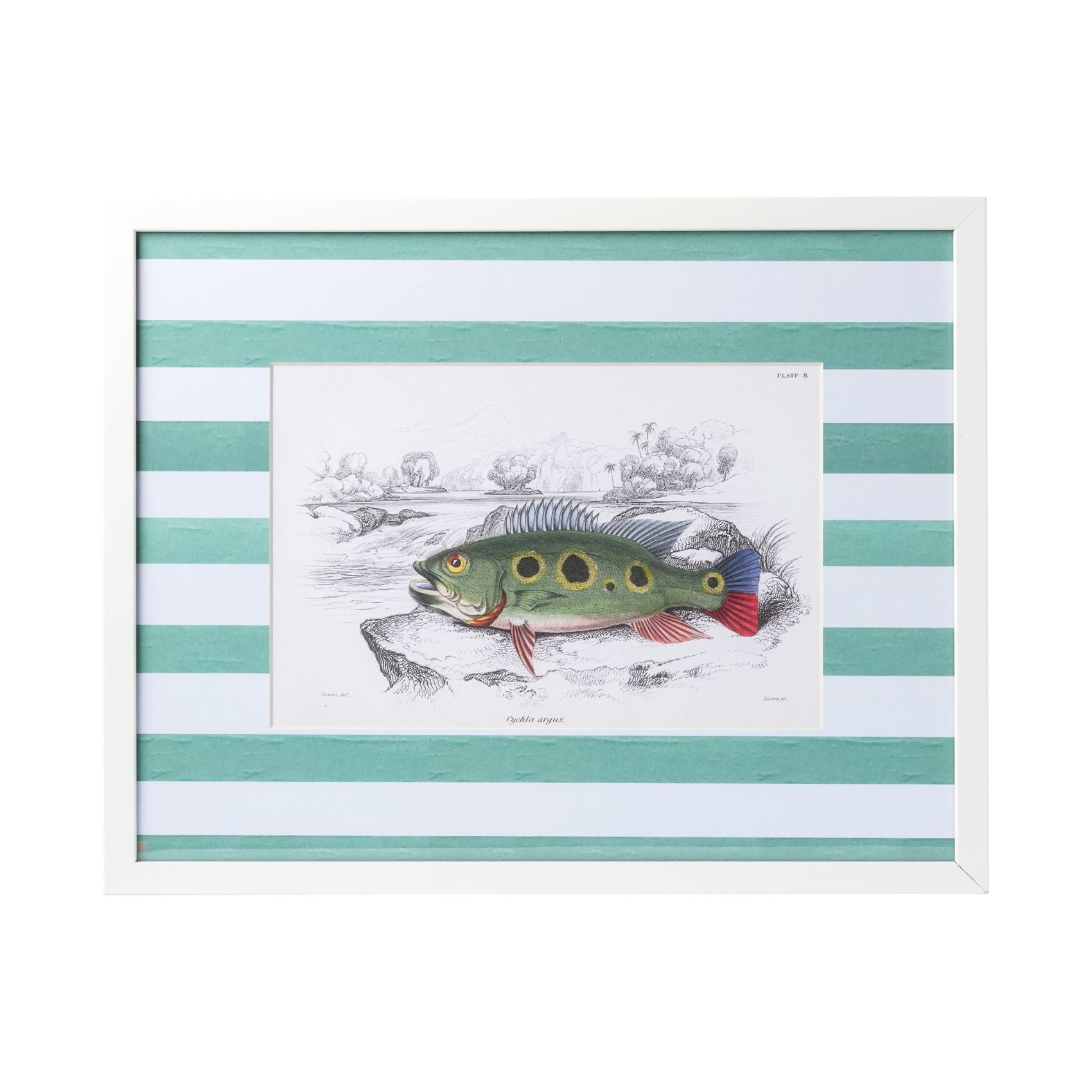 Stripe Fish Framed Art Print - A