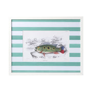 Stripe Fish Framed Art Print - A