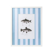 Vintage Freshwater Fish Print Framed Art