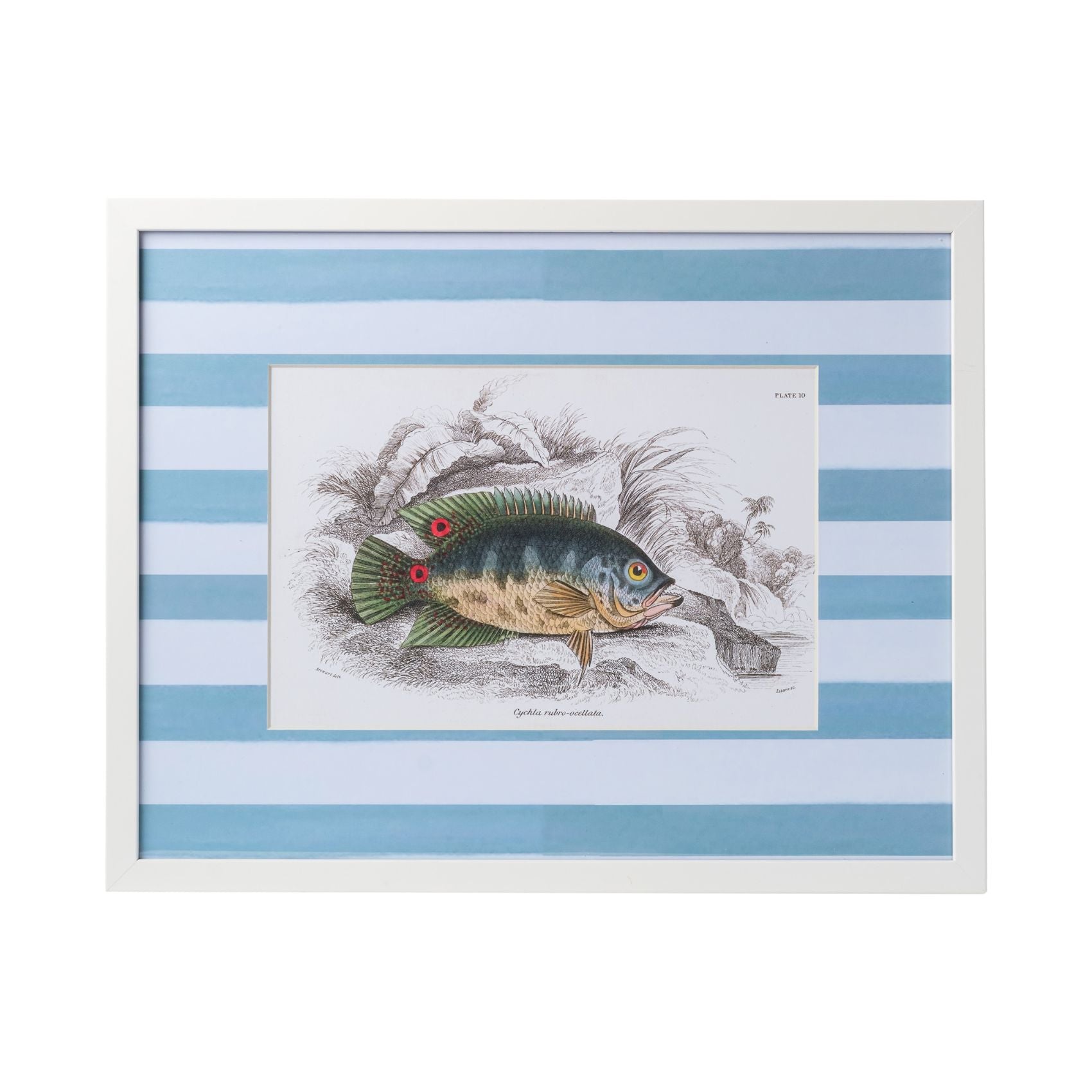 Stripe Fish Framed Art Print - F
