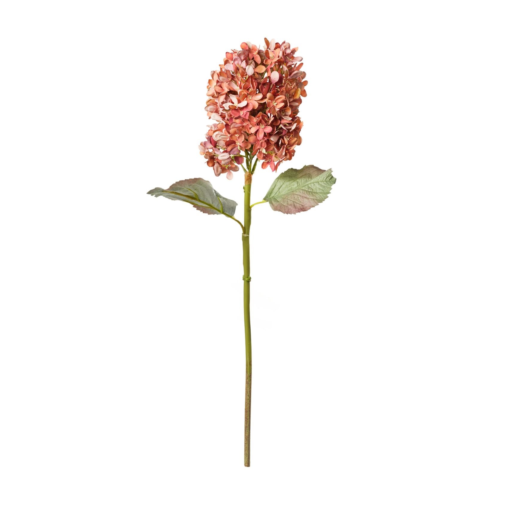 Antiqued Burgundy Hydrangea Pee Gee Faux Stem