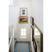 Antique Whale Framed Art - D