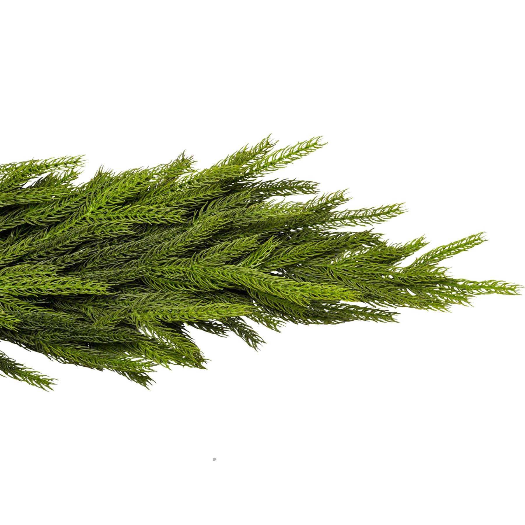 Norfolk Pine Faux Garland