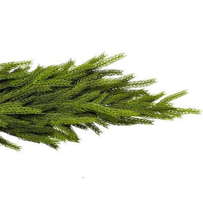 Norfolk Pine Faux Garland
