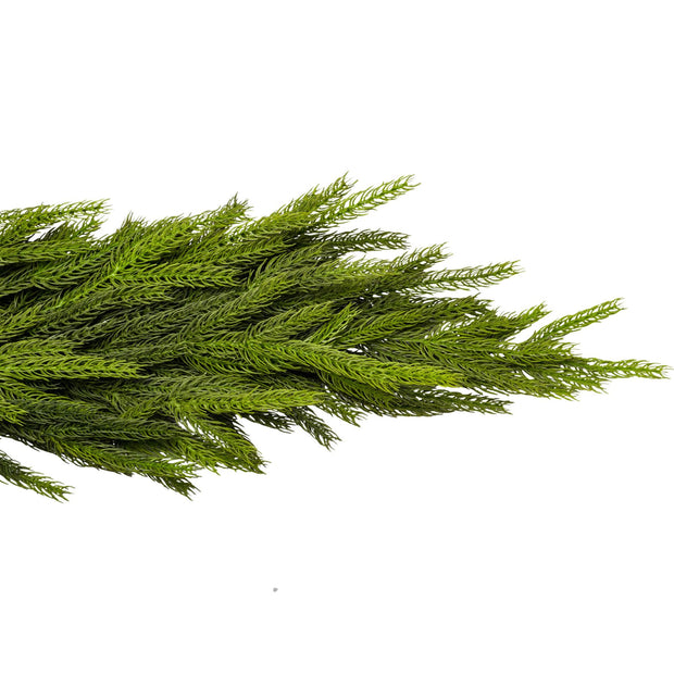Norfolk Pine Faux Garland