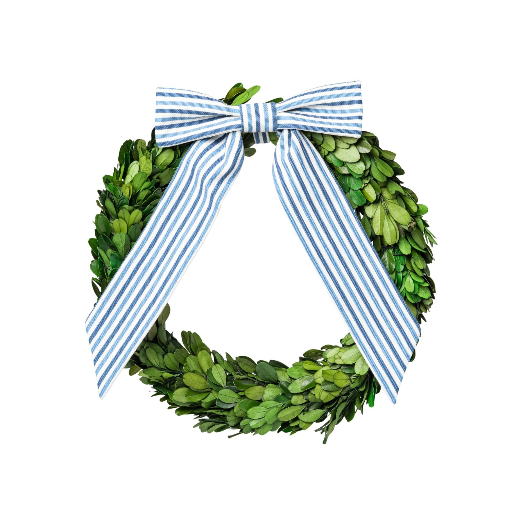 Preserved Boxwood Wreath with Classic Stripe Ribbon