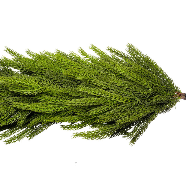 Norfolk Pine Faux Garland