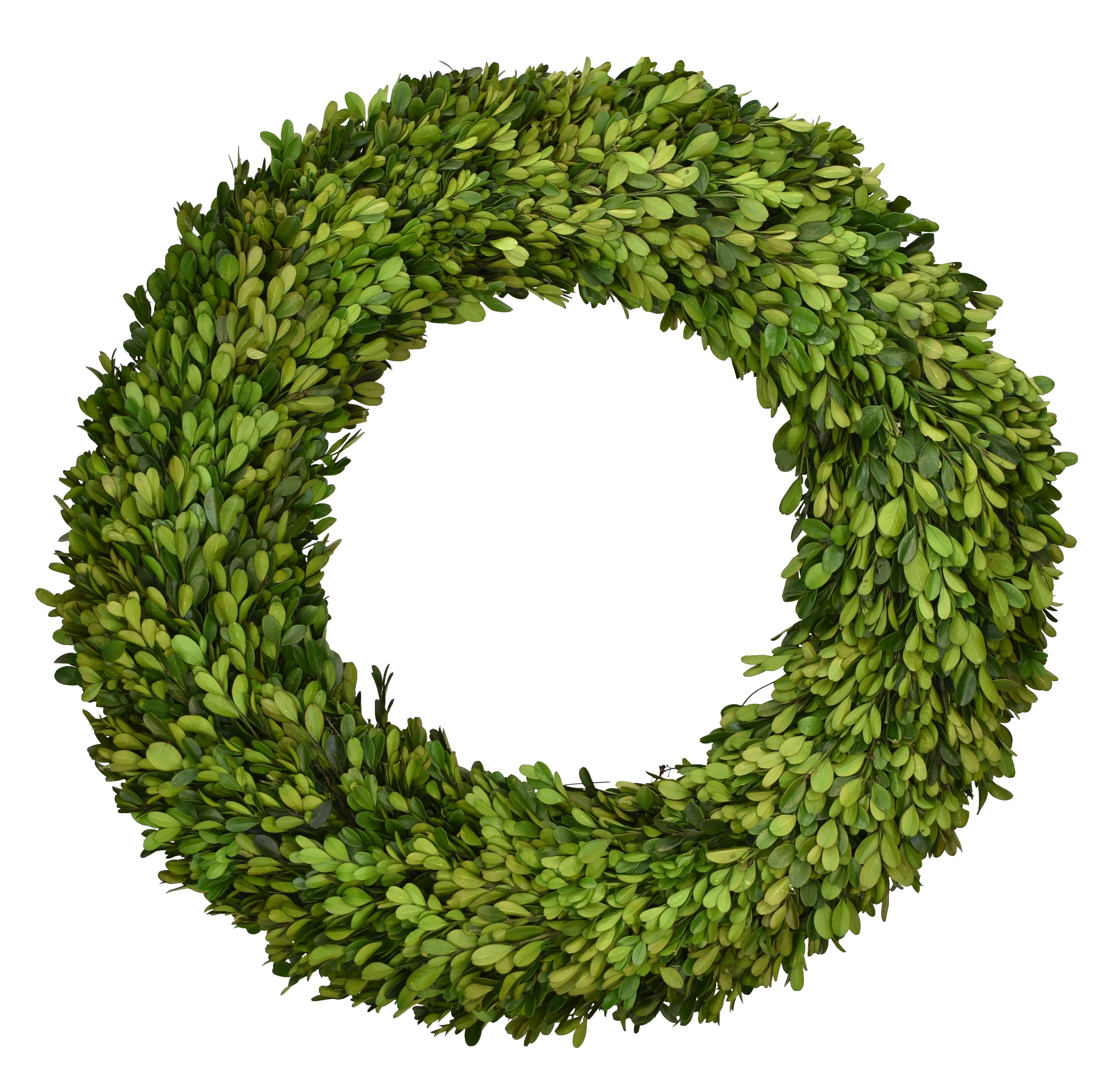Preserved Boxwood Wreath