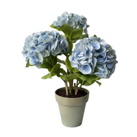 Faux Hydrangea Plant - White Background