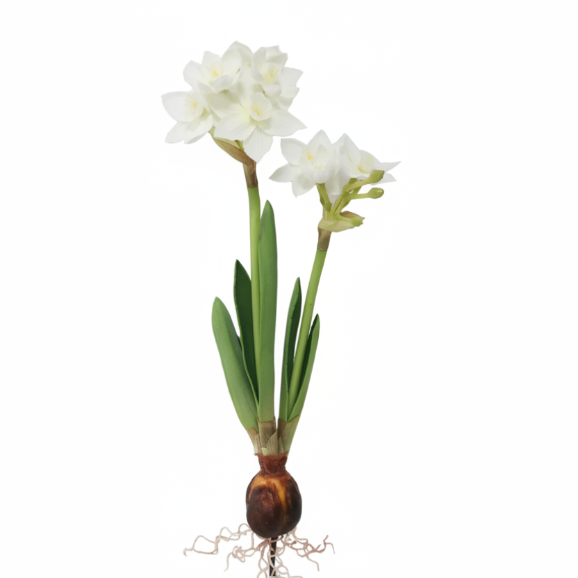 Faux Paperwhite Bulb