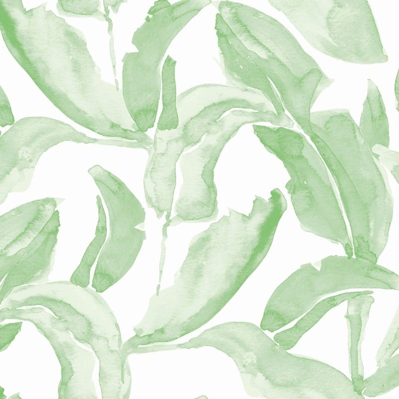 Banana Palms Green Wallpaper Swatch