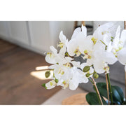 White Faux Orchid Drop-In