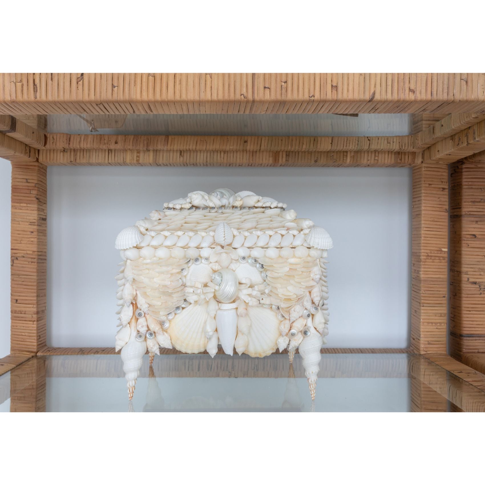 White Shell Jewel Box - Seashell Box – Cailini Coastal