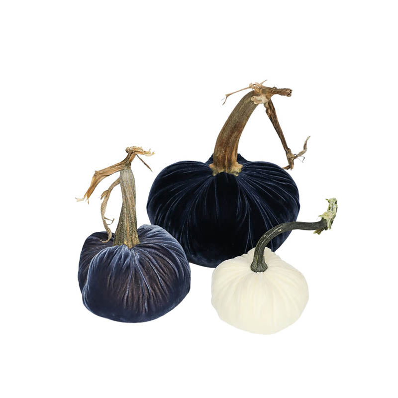 Limited Edition Coastal Hues Pumpkin Set