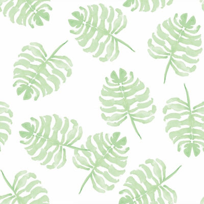 Monstera Green Wallpaper Swatch by Victoria Larson for Cailini Coastal
