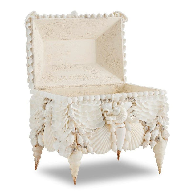White Shell Jewel Box - Seashell Box – Cailini Coastal