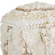 White Shell Jewel Box
