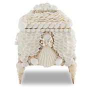 White Shell Jewel Box - Seashell Box – Cailini Coastal