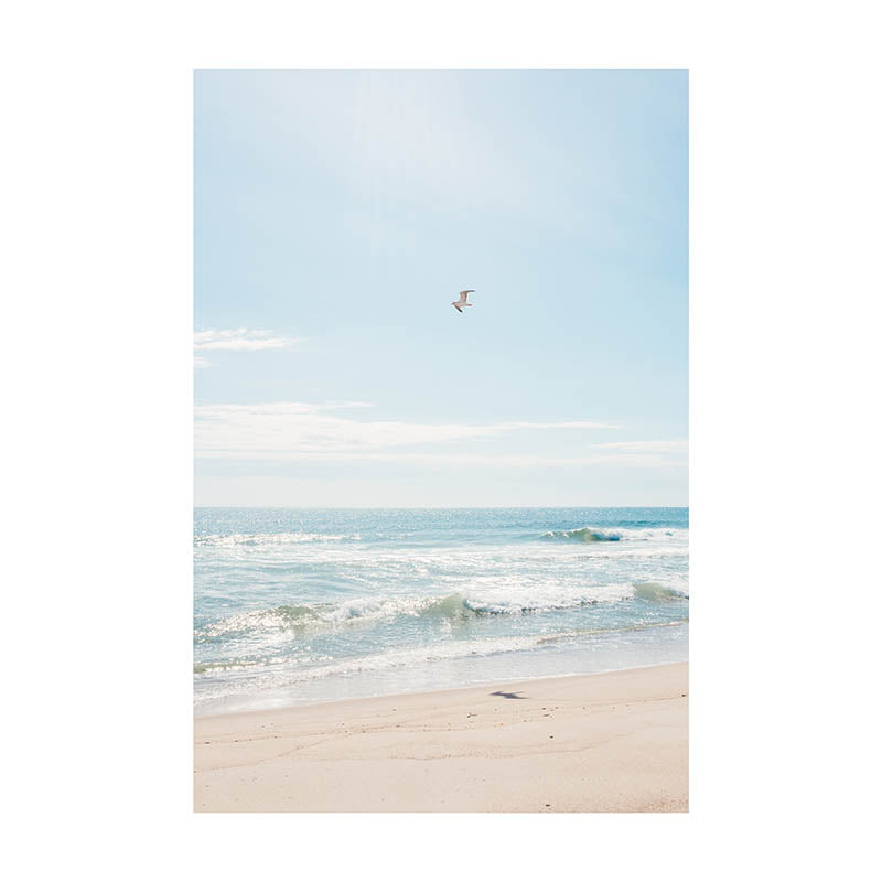 Tom Nevers Gull Print