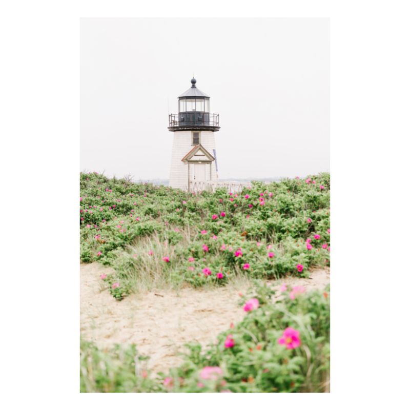 Dunes at Brant Point in Spring 2 Print