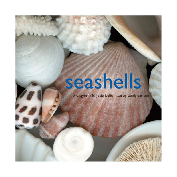 Seashells Coffee Table Book