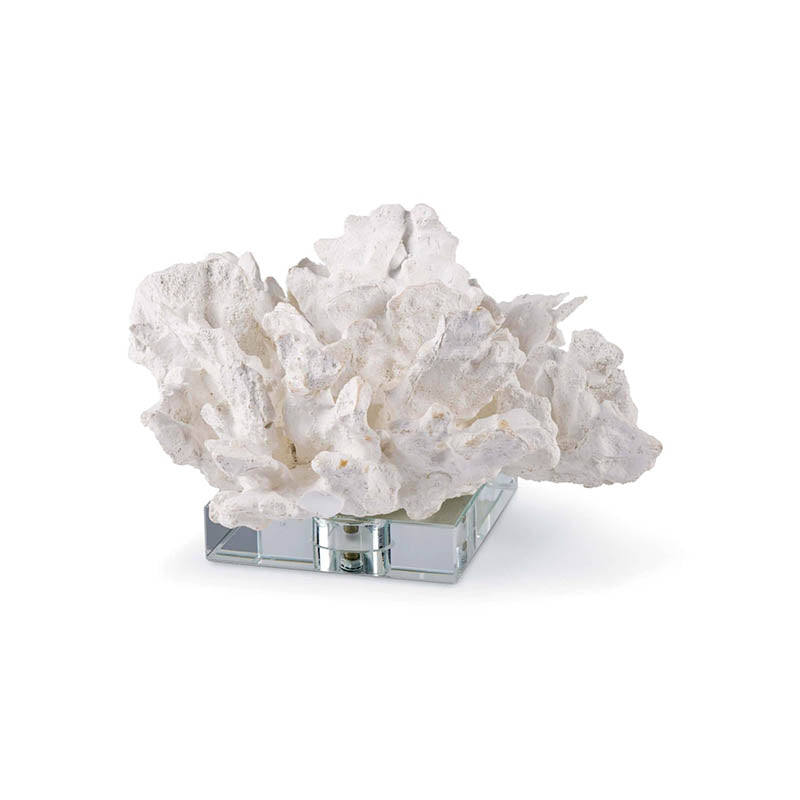 Flower Coral on Crystal Base