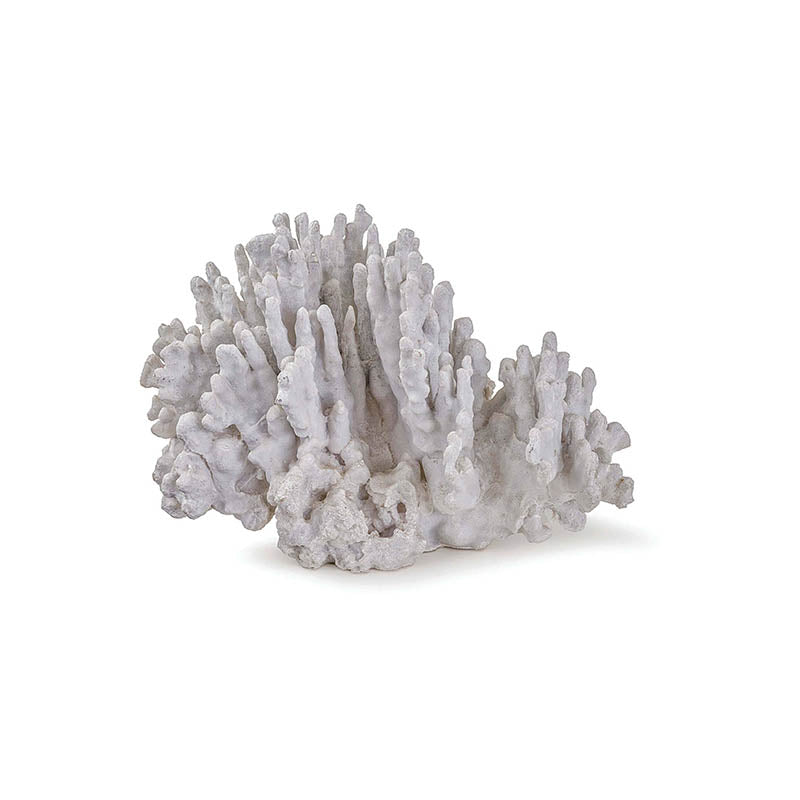 Coral Art Piece