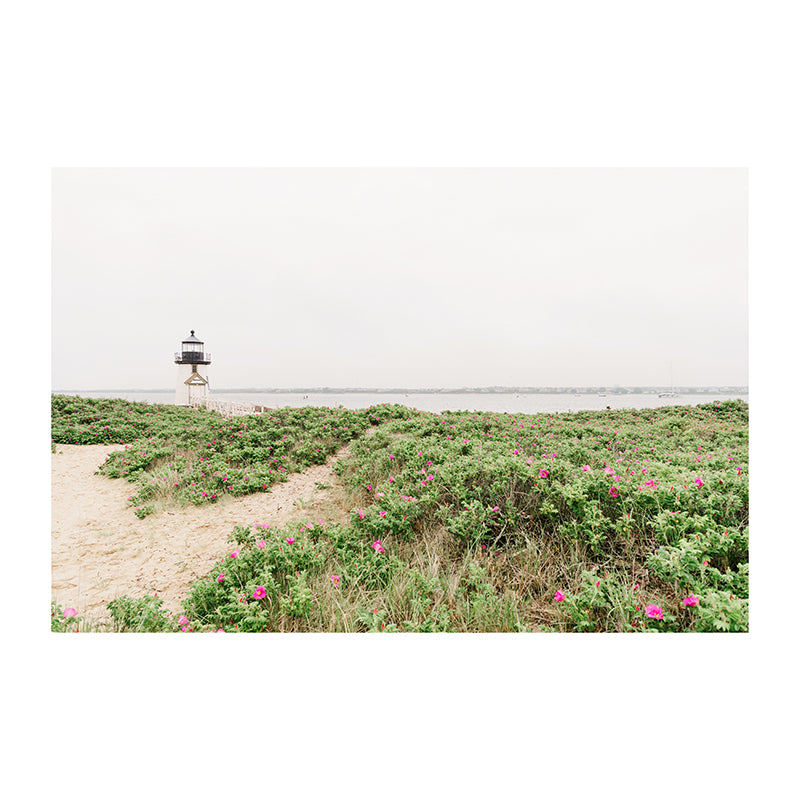 Dunes at Brant Point in Spring Print